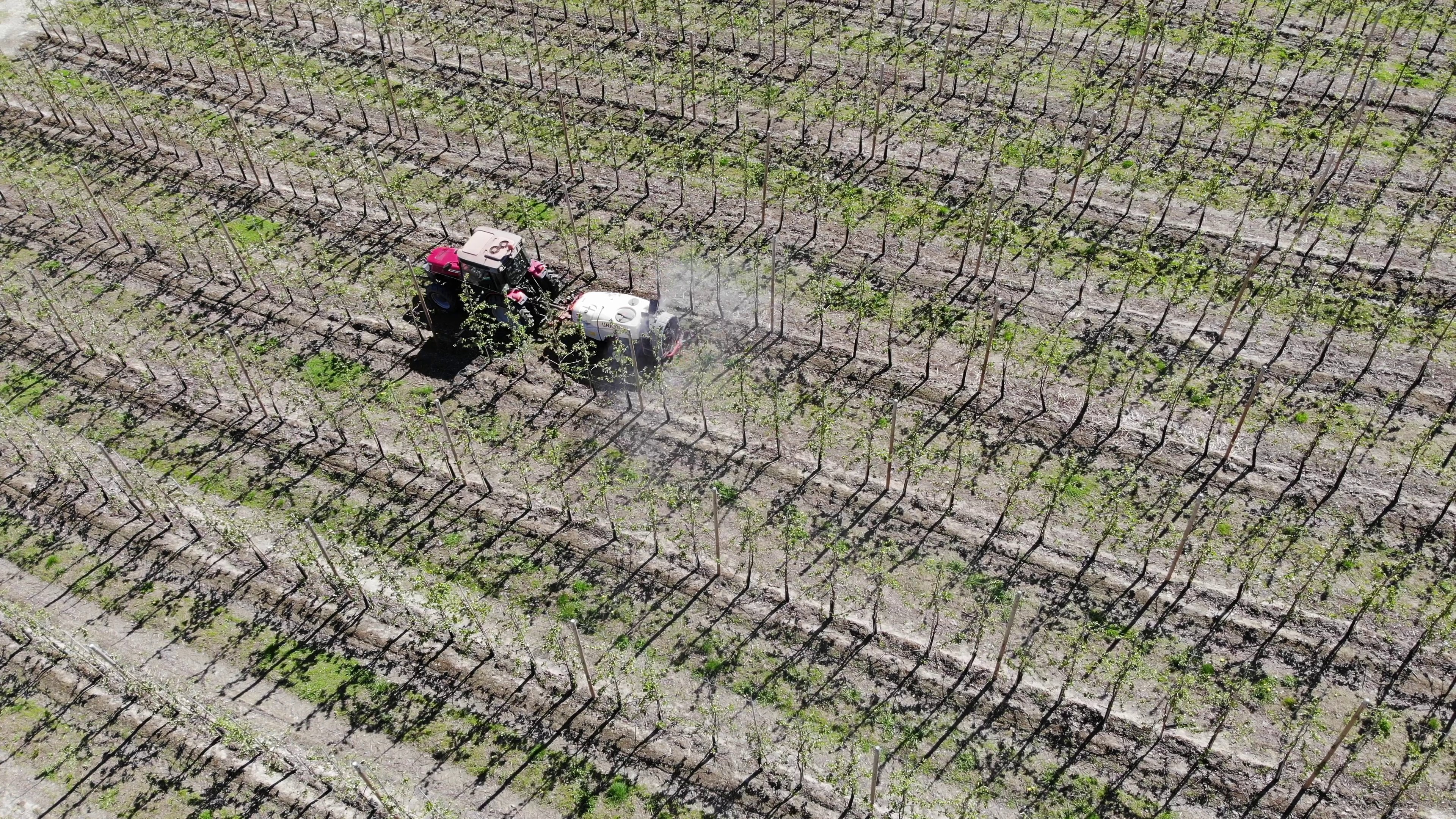 tractor_spraying_orchard